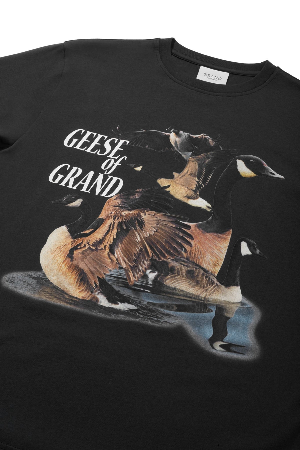 GRAND COLLECTION Geese Of Grand Tee Black