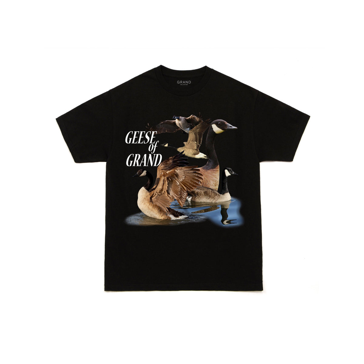 GRAND COLLECTION Geese Of Grand Tee Black