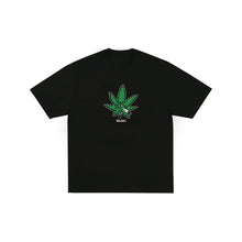 Lade das Bild in den Galerie-Viewer, Preorder 18UNO Erba Cattiva Tee Black
